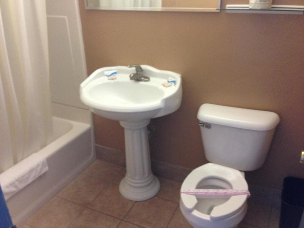 カデ モーター イン コールドウォーター 部屋 写真